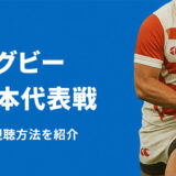 ラグビー日本代表戦の視聴方法